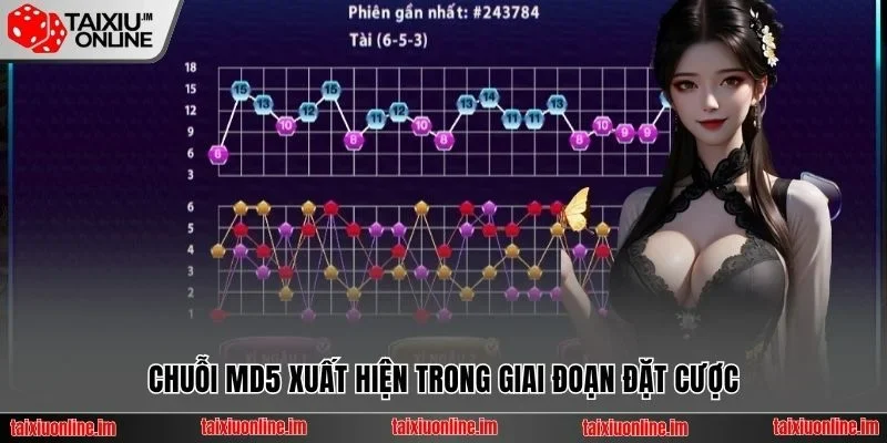 Chuỗi MD5 xuất hiện trong giai đoạn đặt cược