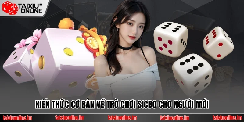 Kiến thức cơ bản về Sicbo online cho người mới