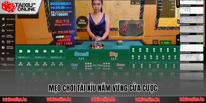 Mẹo chơi Tài Xỉu nắm vững cửa cược